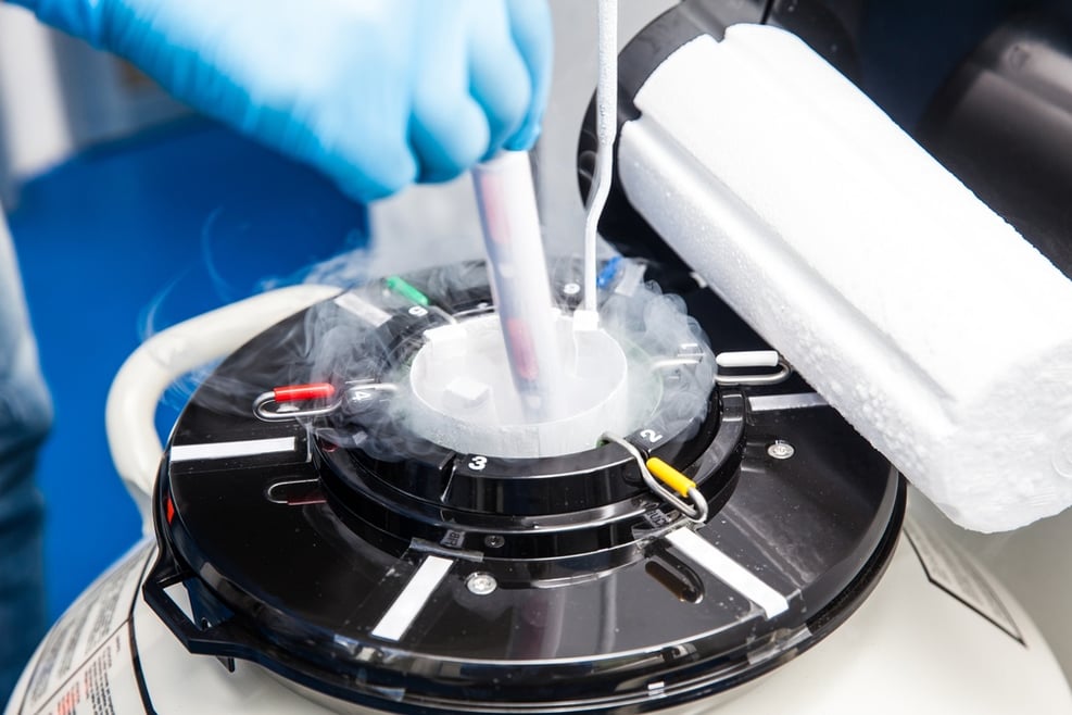 What Are the Success Rates of Using Frozen Embryos in Your IVF Cycle?